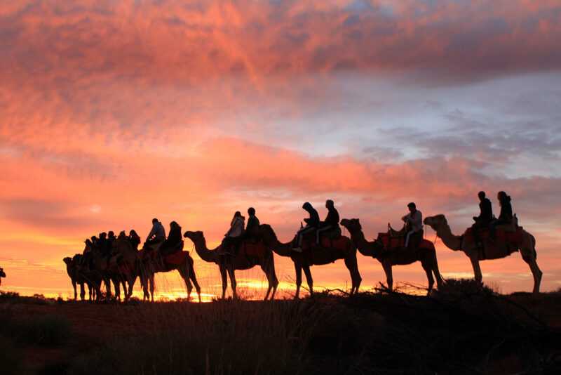 Travellers ride camels in silhouette across red desert sand against a dawn sky in Uluru, Australia.