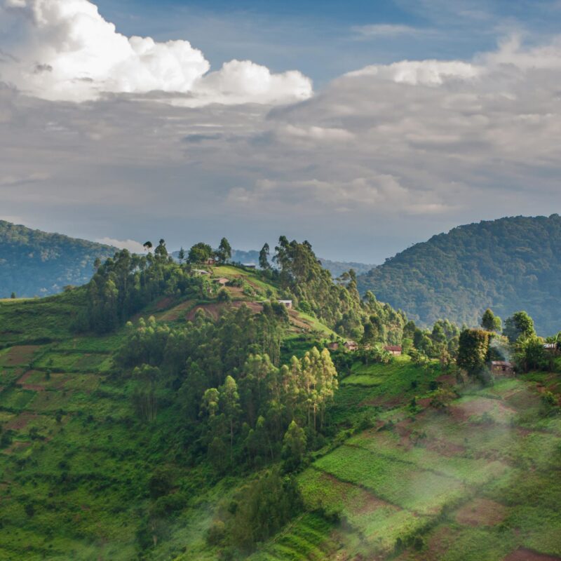 Lush terraced hillside landscape with mist and scattered dwellings for luxury grand tours.