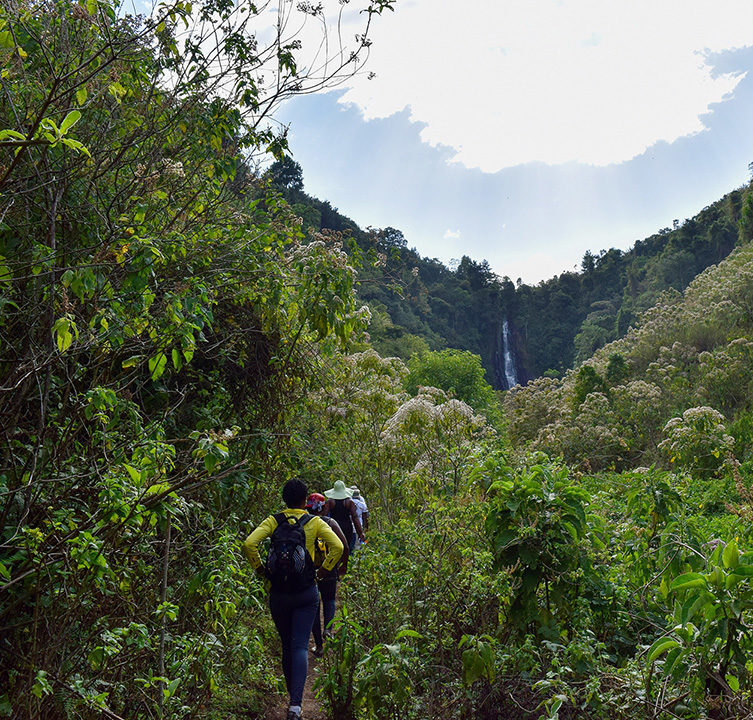 Processed with VSCO with preset A group of hikers in the panoramic rural landscapes in rural Kenya mountain, hiking, hiker, nature, landscape, mountains, trekking, woman, sky, walking, summer, people, travel, adventure, rock, hike, backpack, sport, view, path, outdoor, forest, park, climbing, trail, hikers, waterfall, kenya, aberdare ranges, wild, wilderness, outdoors, lifestyle, africa, safari africa, safari adventure, tropical forest, rural scene, non urban, trees, lush description, lush forest, togetherness, happy, young adults, happiness Processed with VSCO with preset.A group of hikers in the panoramic rural landscapes in rural Kenya.mountain, hiking, hiker, nature, landscape, mountains, trekking, woman, sky, walking, summer, people, travel, adventure, rock, hike, backpack, sport, view, path, outdoor, forest, park, climbing, trail, hikers, waterfall, kenya, aberdare ranges, wild, wilderness, outdoors, lifestyle, africa, safari africa, safari adventure, tropical forest, rural scene, non urban, trees, lush description, lush forest, togetherness, happy, young adults, happiness A group of hikers in the panoramic rural landscapes in rural Ken mountain, hiking, hiker, nature, landscape, mountains, trekking, woman, sky, walking, summer, people, travel, adventure, rock, hike, backpack, sport, view, path, outdoor, forest, park, climbing, trail, hikers, waterfall, kenya, wild, wilderness, outdoors, lifestyle, africa, trees, togetherness, happy, happiness, Groups, Reunions, aberdare ranges, lush description, lush forest, non urban, rural scene, safari adventure, safari africa, tropical forest, young adults, Human, Mountain, Nature, Outdoors, Person
