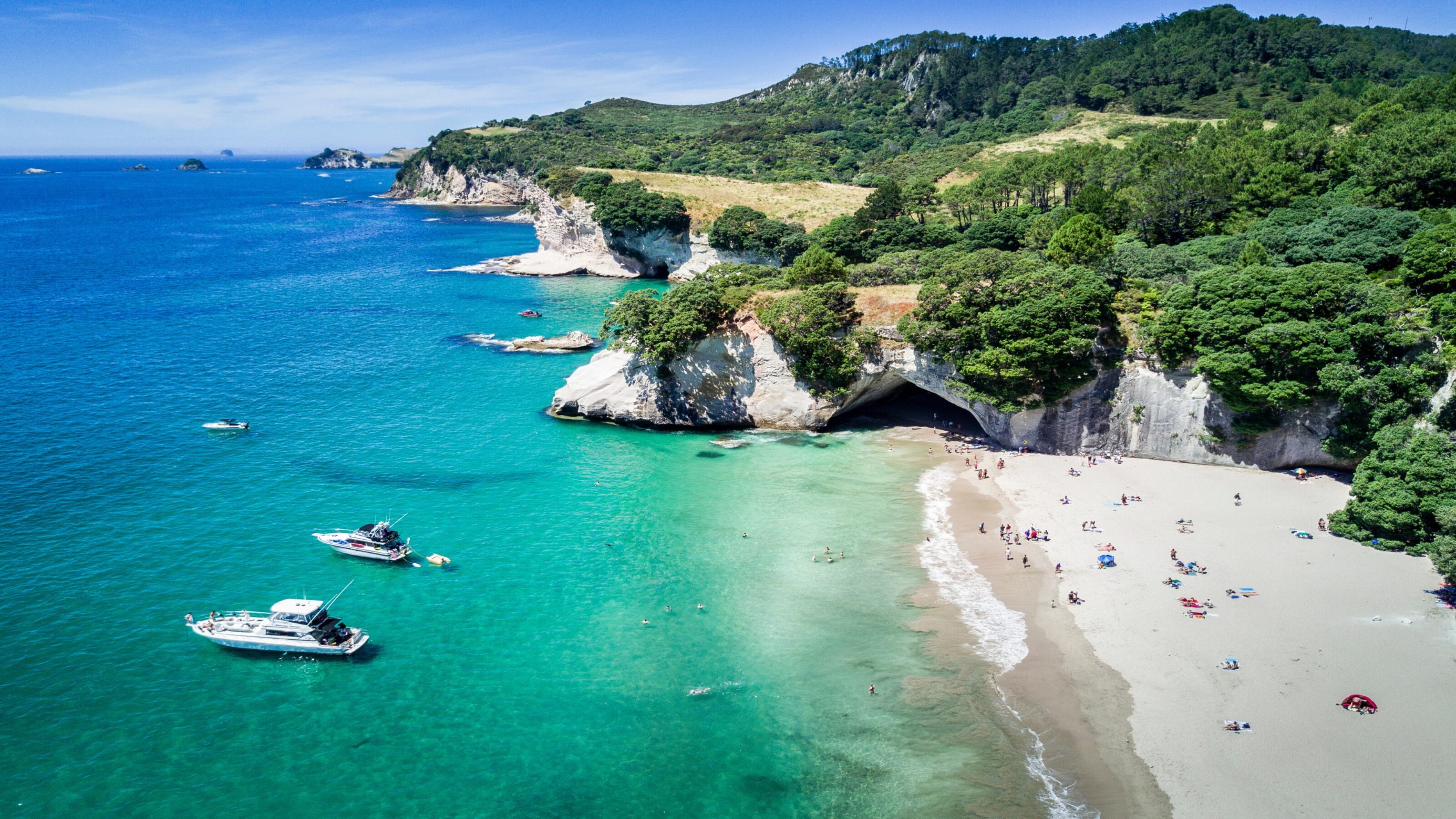 The Best of the North Island
