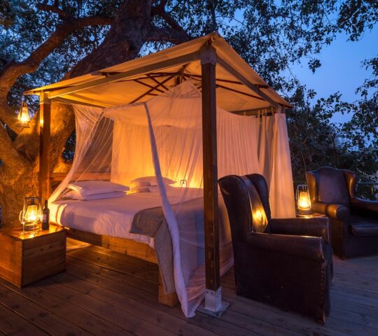 A night under the stars at Wilderness Ruckomechi