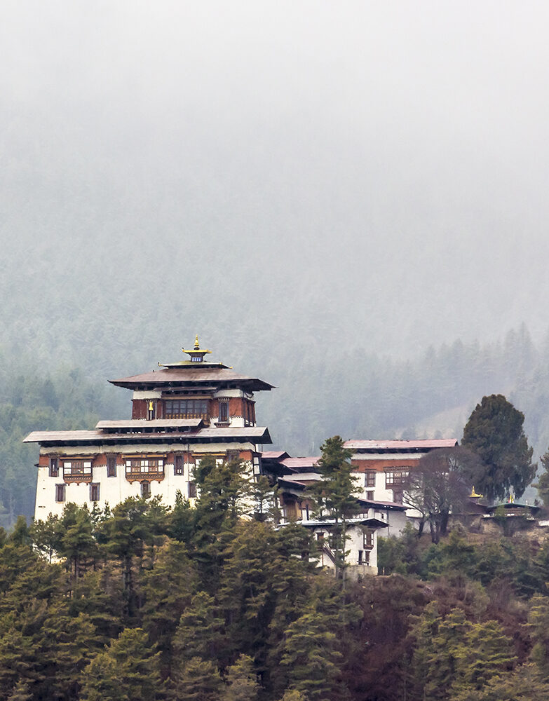 A traditional Bhutanese fortress with white walls and tiered roofs sits nestled among evergreen trees on a hill.