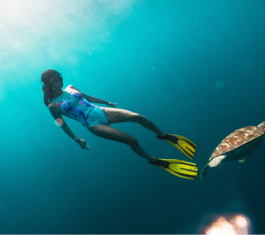 Underwater adventures in the Seychelles