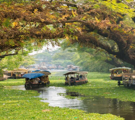 Kerala backwaters