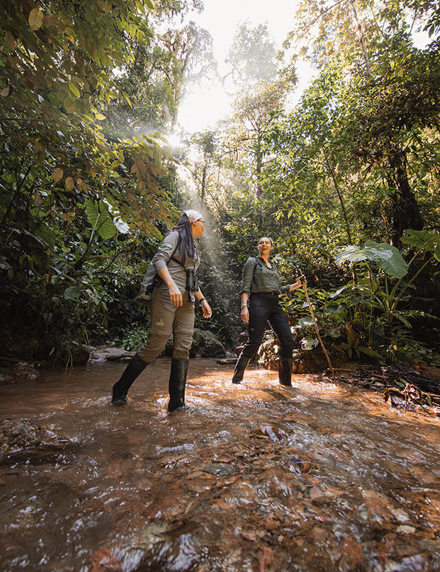 Two people hiking through a stream in a lush forest on positive impact trips.