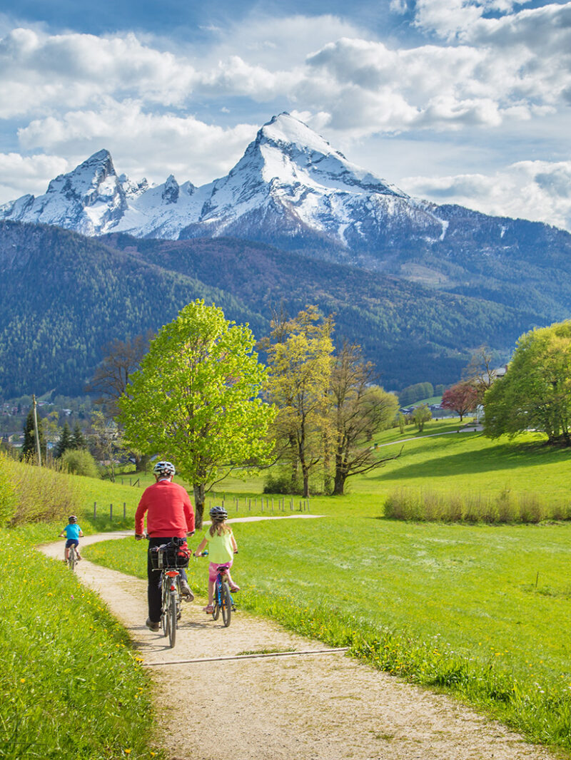 A family riding bicycles on a path through a green field toward snowy mountains on luxury Family vacations.