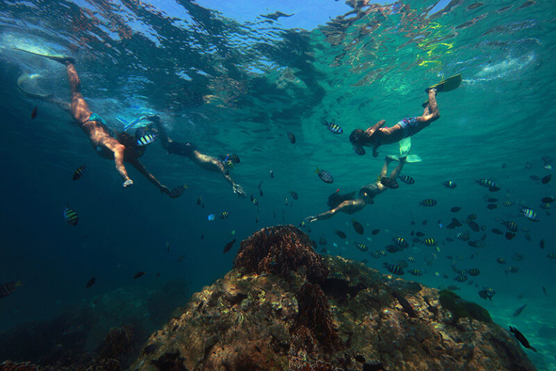 Snorkelers swimming underwater with many small fish near a coral reef during luxury Family vacations.