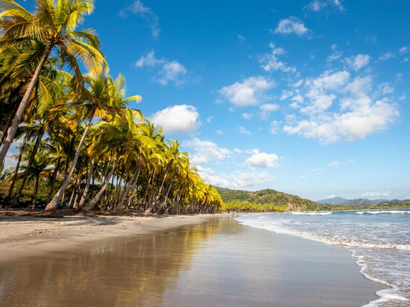 White sandy beach lined with palm trees in Costa Rica on a luxury latin America trip