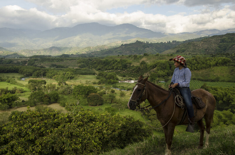 A rider on horseback overlooks a lush green valley during luxury Latin America family tours.