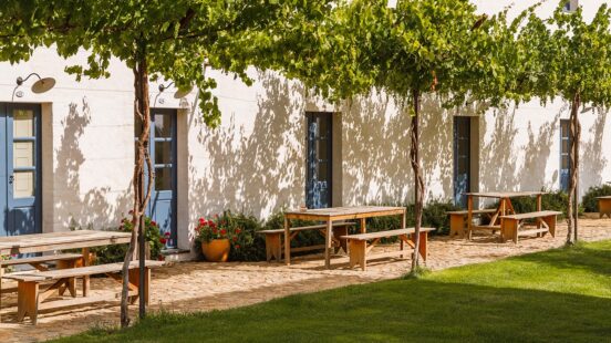 A vine draped pergola at Sao Lourenco do Barrocal in Portugal