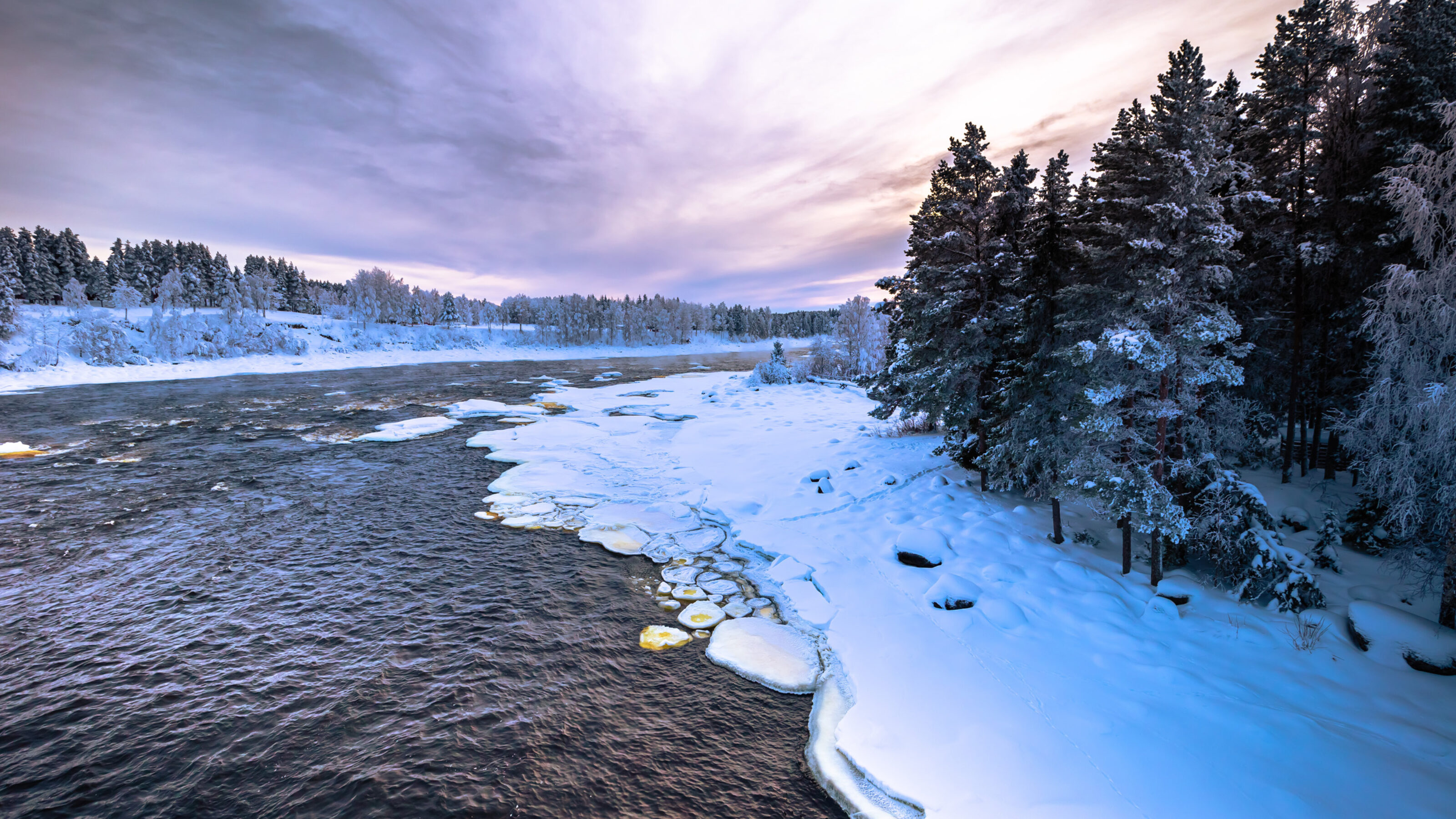 A Swedish Winter Adventure