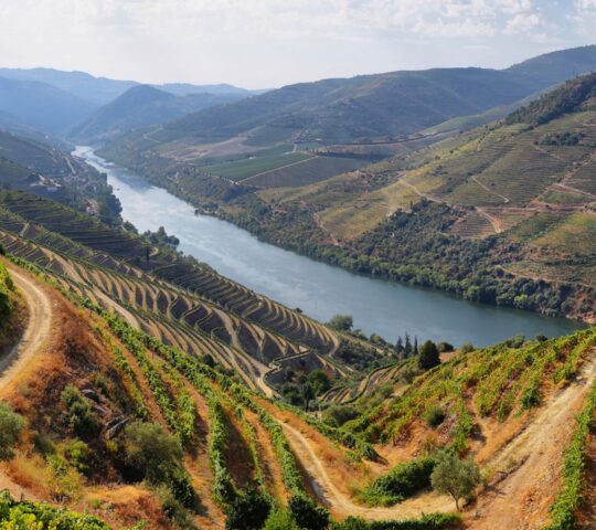 Enjoying views over the Alto Douro