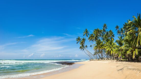 A row of leaning coconut palm trees on a tropical sandy beach next to the blue ocean.