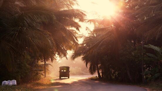 Silhouette of a three-wheeled vehicle driving on a road between palm trees with bright sunlight behind.