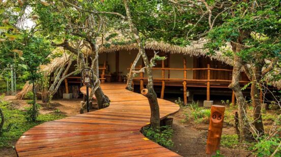 A curved wooden plank path leads toward a building with a grass roof and wooden railings in the woods.