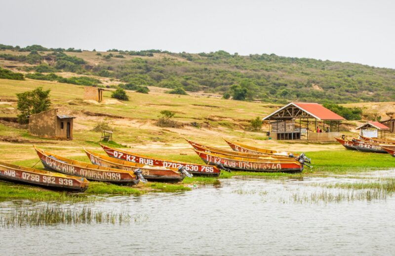Colorful wooden boats with registration numbers parked on a grassy lake bank on luxury Uganda vacations.