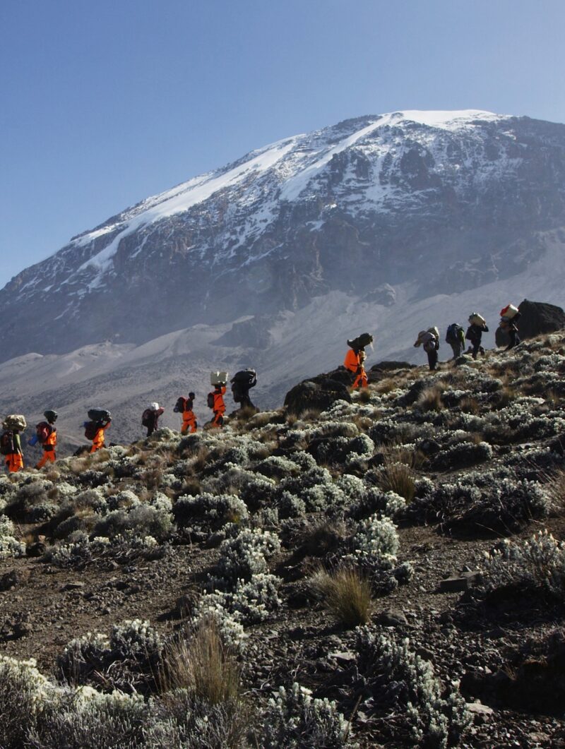A group of porters carrying equipment on their heads while hiking up a steep, rocky trail toward a snowy mountain peak.