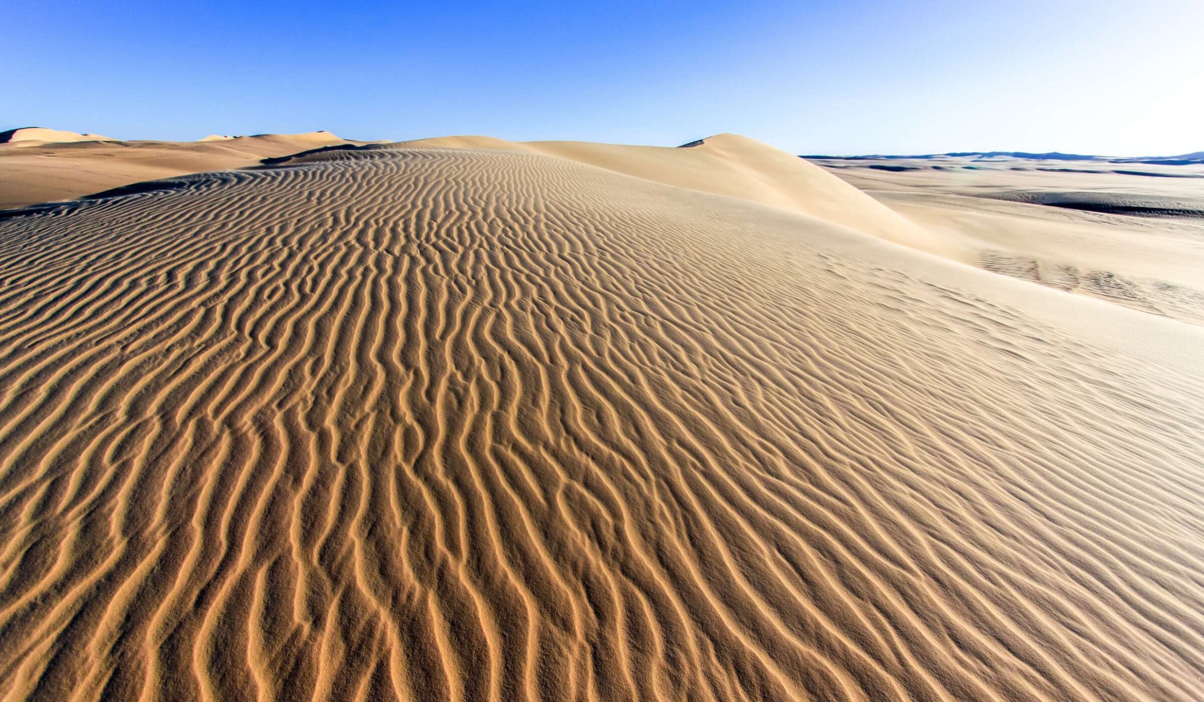 Western Desert
