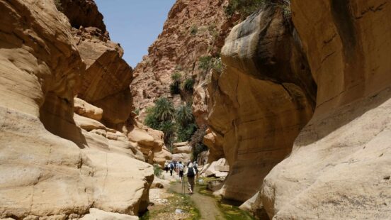 People hiking through a narrow canyon with steep, tan rock walls and a small stream.