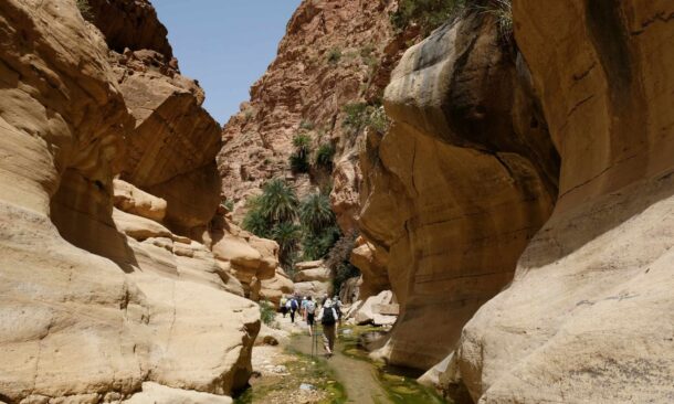 People hiking through a narrow canyon with steep, tan rock walls and a small stream.