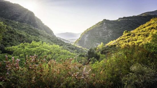 A scenic view of a verdant valley between mountains with sunlight streaming through the atmosphere.