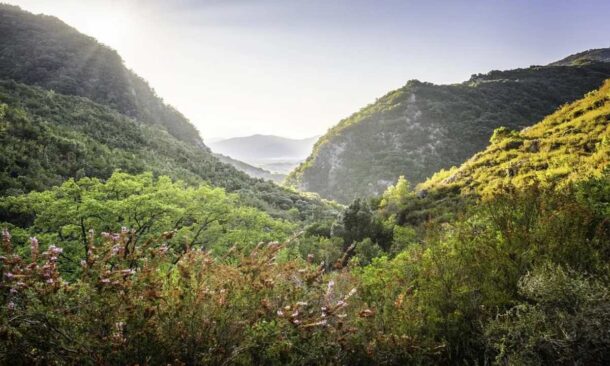 A scenic view of a verdant valley between mountains with sunlight streaming through the atmosphere.