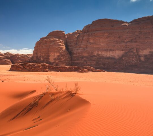 Explore Wadi Rum