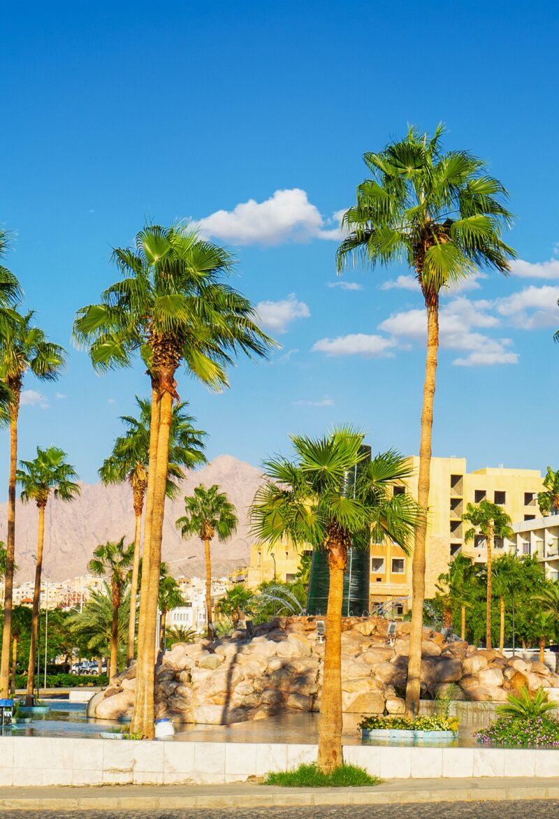 Cityscape of Aqaba city at sunny summer day. Jordan.