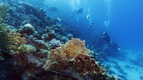 Multiple scuba divers swimming deep underwater alongside a large, intricate coral reef formation.