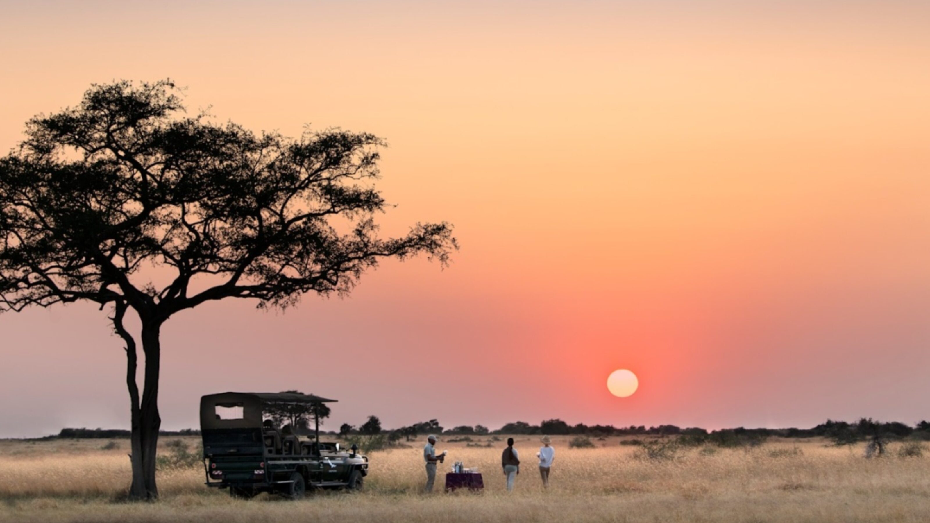 A Singita Grumeti Safari and the Seychelles