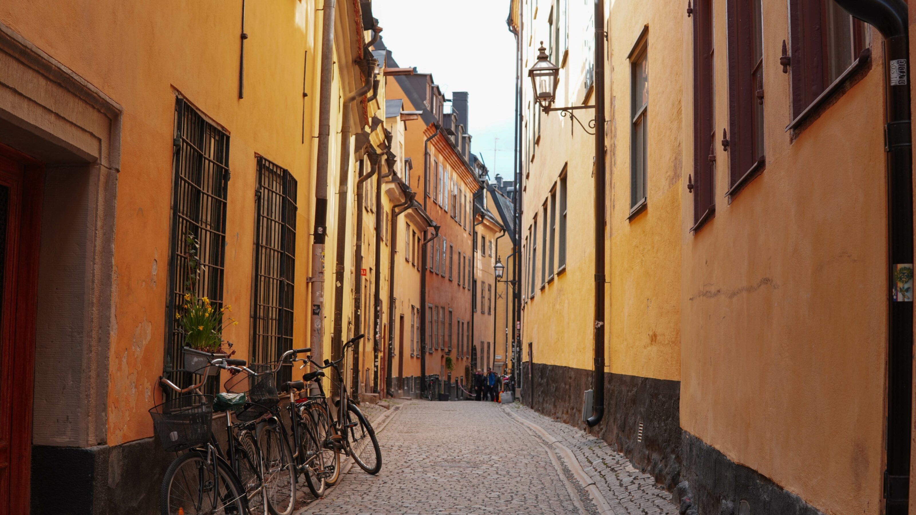 A Magical Swedish Honeymoon