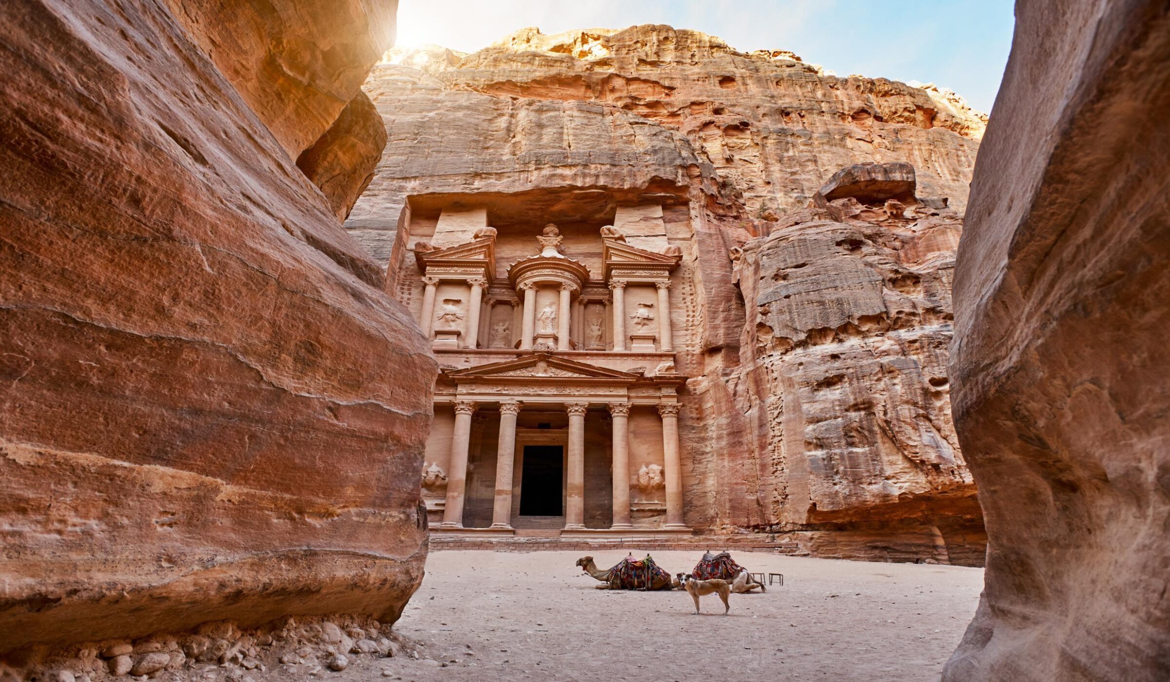Jacada Travel - The temple-mausoleum of Al Khazneh in the ancient city of Petra in Jordan - a pinkish brown temple with columns craved out a tall craggy rock face. On the sand in front of the temple lies two camels with blankets and saddles, alongside a standing dog