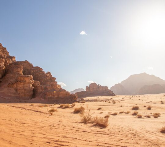Venture into the desert