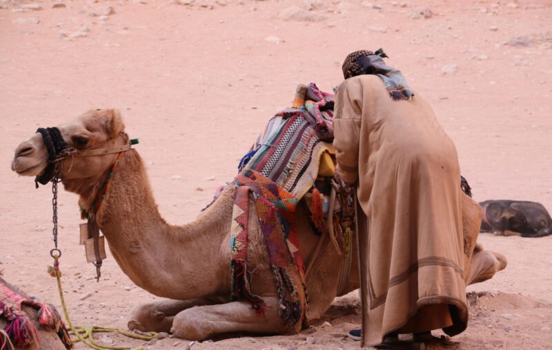 A man in traditional clothing adjusts the brightly patterned saddle on a resting camel in a sandy, desert setting. Luxury Middle East vacations.