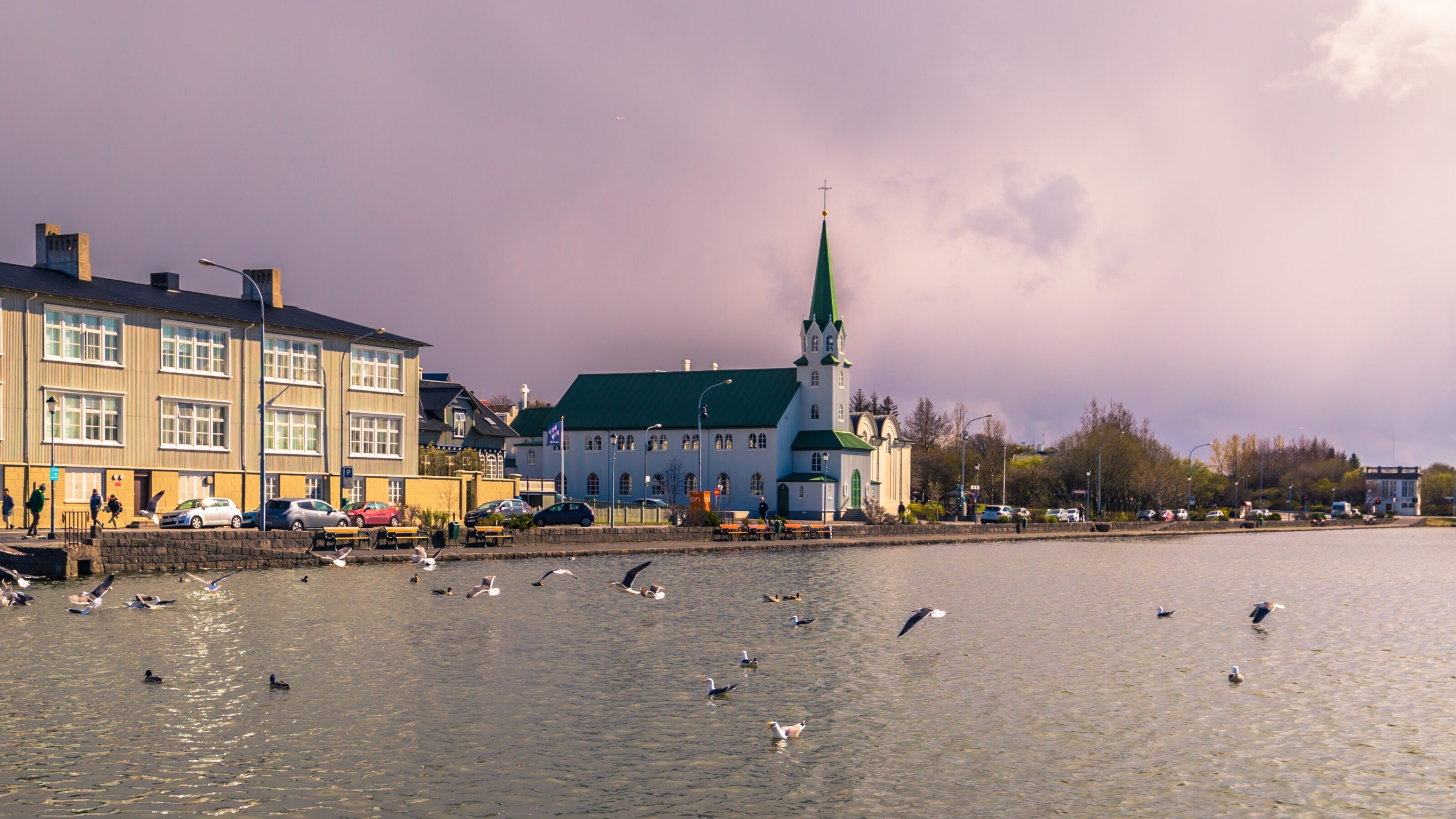 Culinary and Cultural Iceland