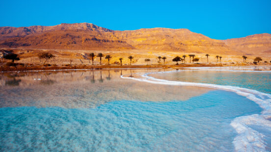 Dead Sea seashore with palm trees and mountains on background