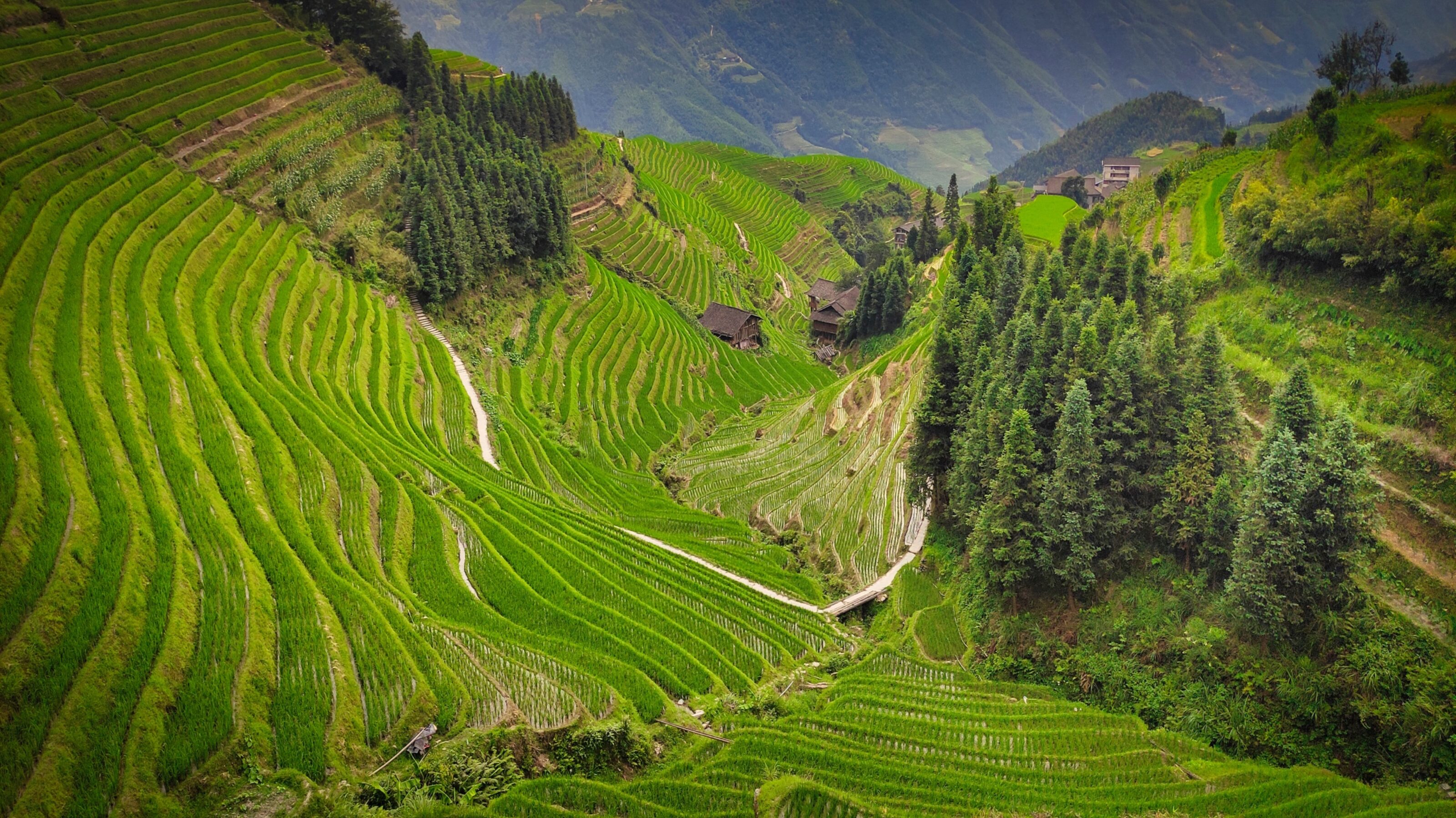 A Family Adventure in China