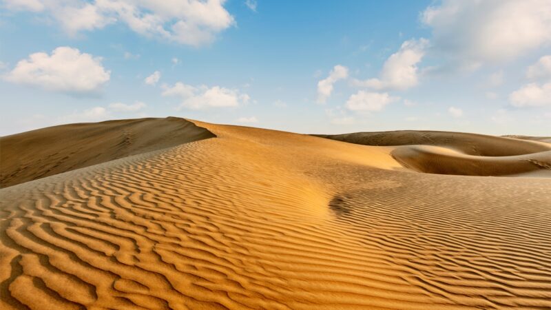 Wind-rippled crests curve across the Sam Sand Dunes in the Thar Desert near Jaisalmer, India.