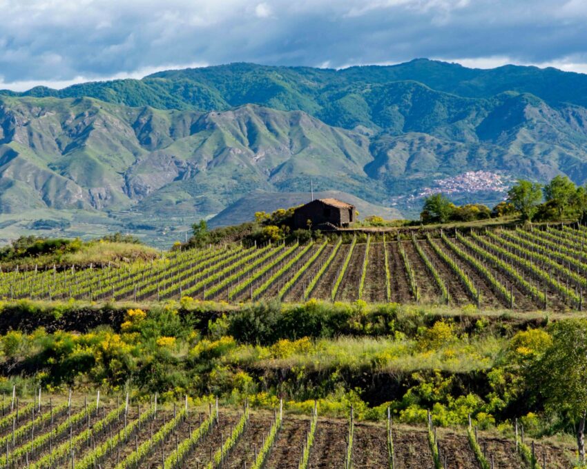 Off-road tour of Mount Etna and winery visit