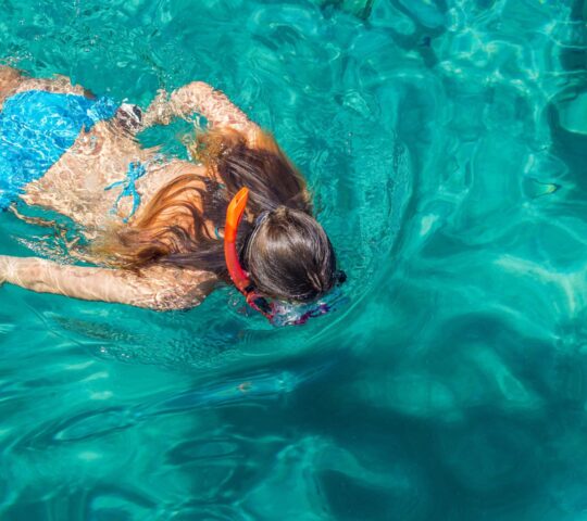 Explore coral reefs
