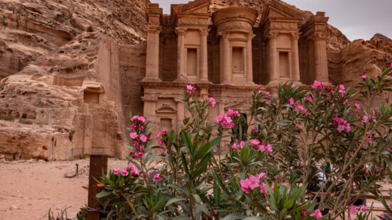 Pink flowers frame a view of the ancient Ad-Deir Monastery carved into a sandstone cliff in Petra.
