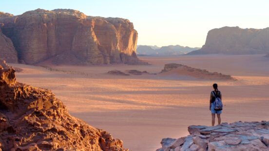 A person looking out over a wide desert valley with large sandstone mountains under a clear sky.