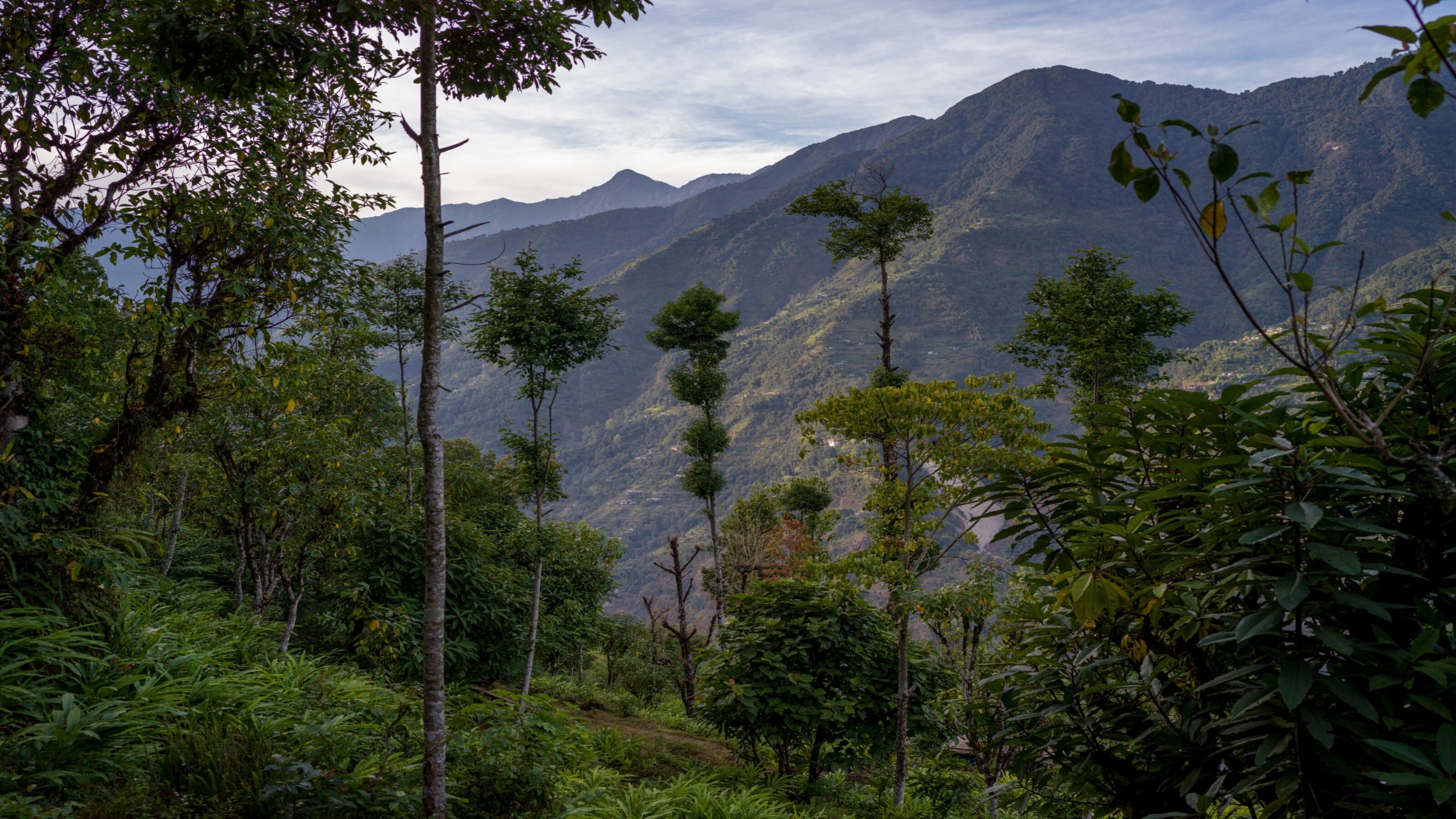 Hiking in the Himalaya
