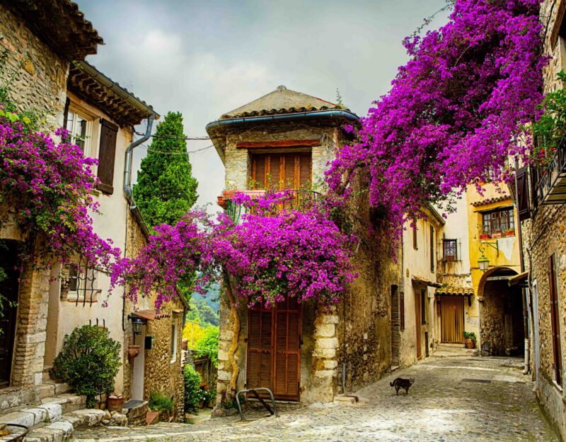 beautiful old town of Provence