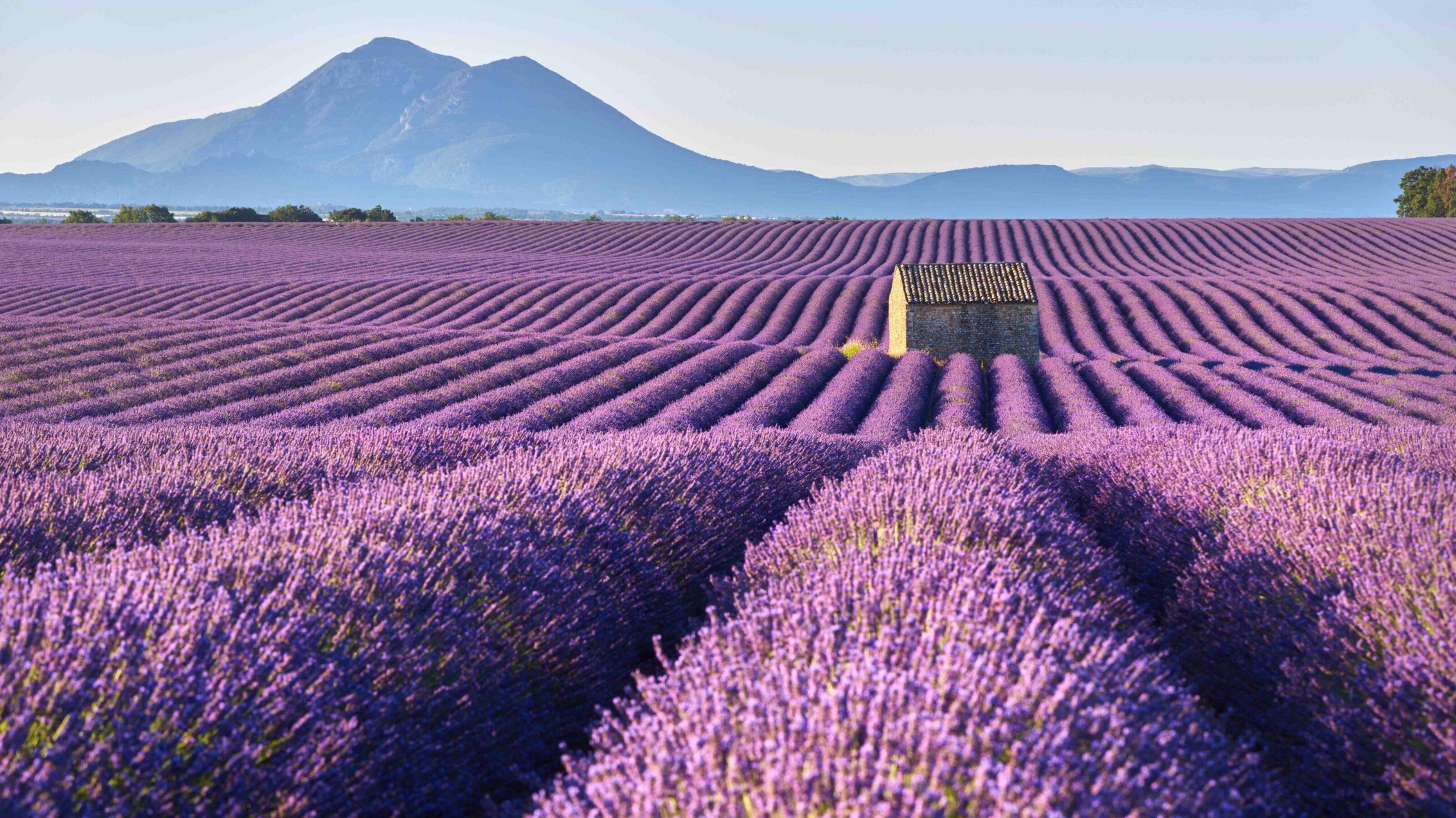 Exploring Provence