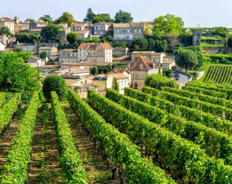 View on vineyards of Saint Emilion village in Bordeaux region, France