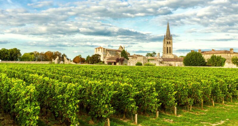 Vineyards of Saint Emilion, Bordeaux Wineyards in France in a sunny day