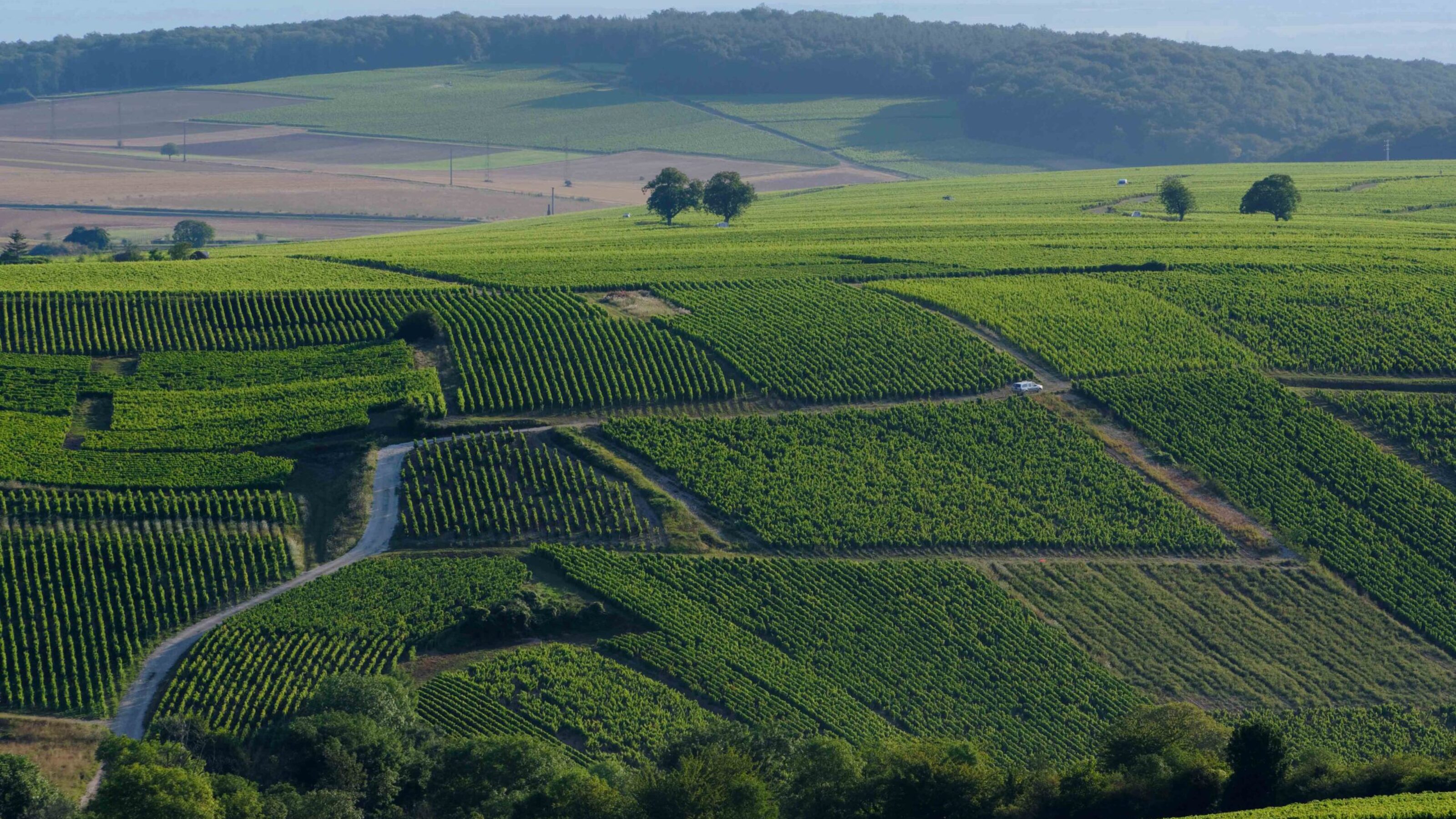 Luxury Paris and the Loire Valley