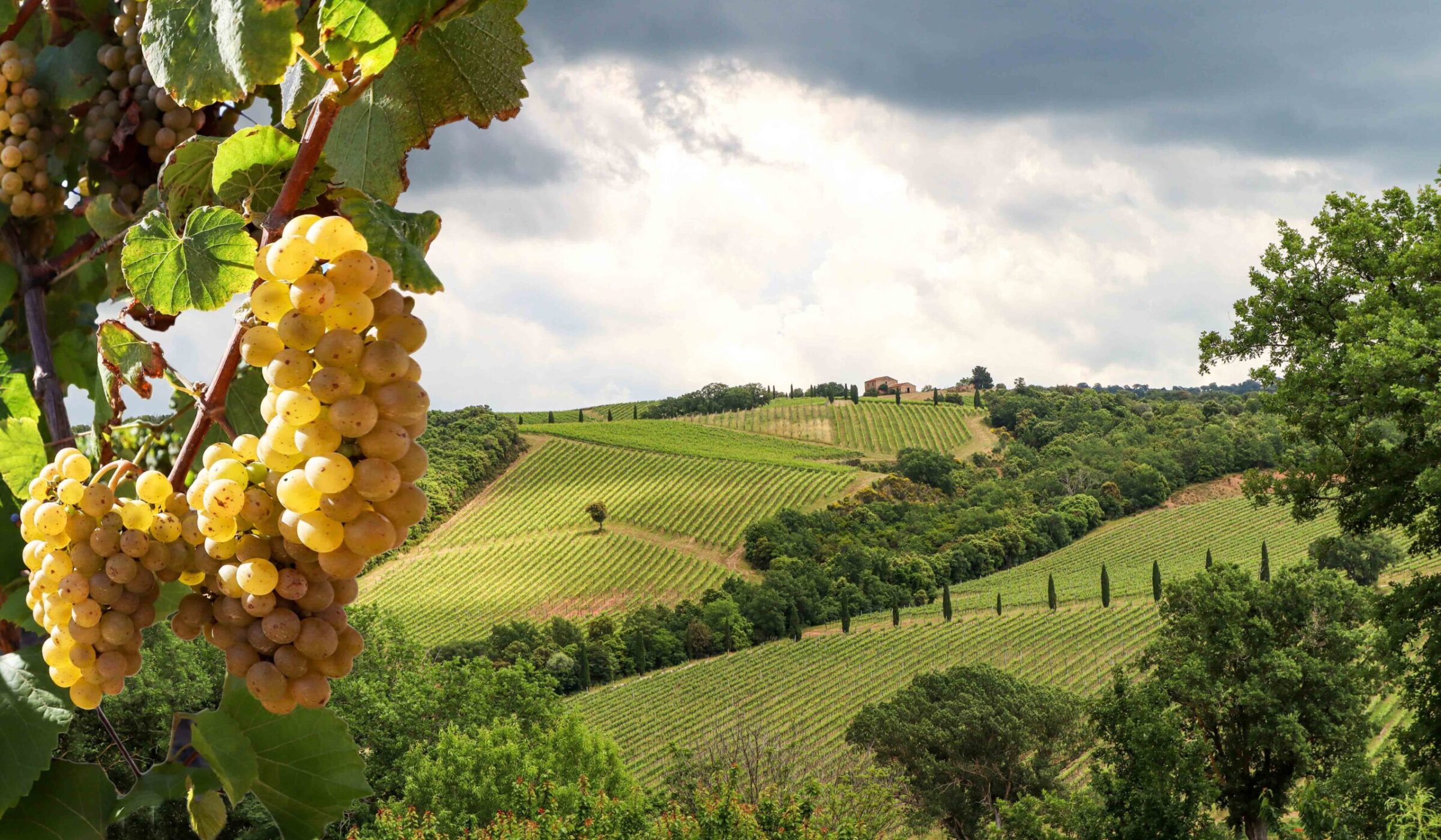 Two nights in the rural heartland of Burgundy