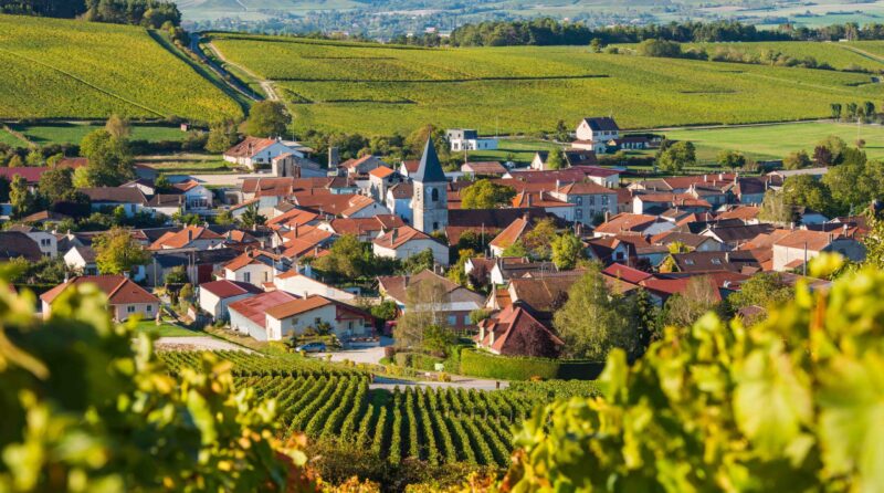 Champagne vineyards in the Cote des Bar area of the Aube department near to Baroville, Champagne-Ardennes, France, Europe